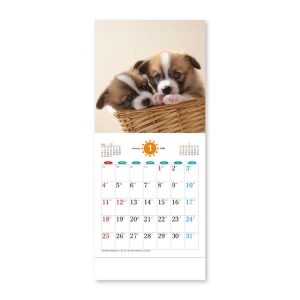 メール便発送 新日本カレンダー 2026年 壁掛けカレンダー THE DOG's NK8726